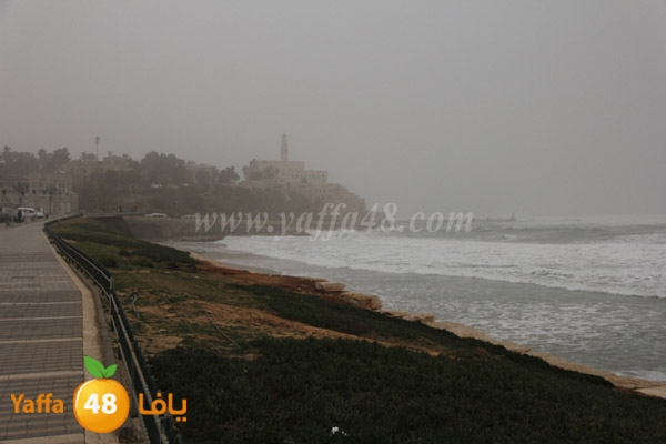 mina2 adrar jfe (24).jpg